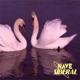Me Encanta Single