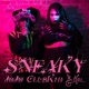 Sneaky Radio Edit Single