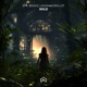 Wild Single