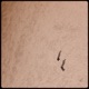 Egotrippen Single