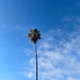 In The Way Single