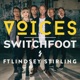 VOICES feat Lindsey Stirling Single