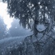 past tense Single