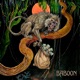 BABOON Single