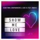 Show Me Love feat Robin S Single