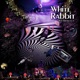 White Rabbit feat X Single