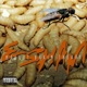 Maggot Brain Theory EP