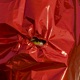 Globo Single