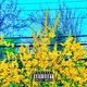 Outside feat Young Orange Felix The Don Single
