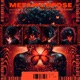 Metamorfose por isso acabou assim Single