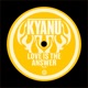Love Is the Answer Single