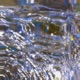 A World Full Of Endless Possibilities feat Rowan Imaginary Petrichor kole Kirzenlitch EMASE Single