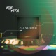 ZEESOUND 008
