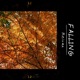 Falling Single