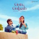 Gun Gulaab Single