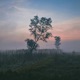 In the Morning Single