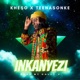 Inkanyezi Single