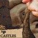 Castles Single