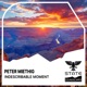 Indescribable Moment Single