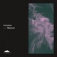 Blackout Single