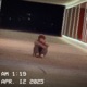 from april to may EP