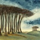 Beech Single