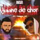Jaane de chor feat TRIBAL G7 Zooper Single