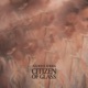 Citizen of Glass Instrumental Single