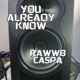 You Already Know feat MC Caspa Single