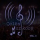 Çelësi Muzikorë Vol 3