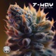 Ganjah Vip Single