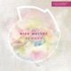 Please Pass the Bliss Nick Mulvey Rework Single