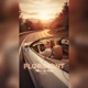 I Will Be Free feat Alicia Single