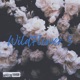 Wild Flower 5 Single