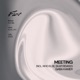 Meeting Single
