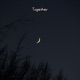 Together