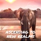 Ascending To New Realms Single