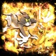 MTG SOLTA FLUXO EP
