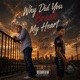 Why Did You Break My Heart Single