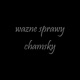 Ważne Sprawy Single