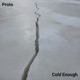Cold Enough Single