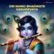 Om Namo Bhagwate Vasudevaya Lofi EP