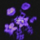Can T Survive Remix feat Yrev Single