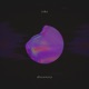 Discovery Single