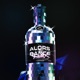 ALORS ON DANCE feat Zack Merìn Masa Squiat manzo Ikaro Boy JAY SINNER Single
