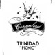 Picnic Single