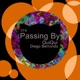 Passing By Single