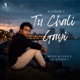Tu Chali Gayi Single