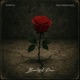 BEAUTIFUL PAIN feat Da Commissioner Single