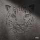Cry 4 the moon Single